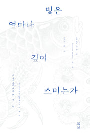 빛은 얼마나 깊이 스미는가