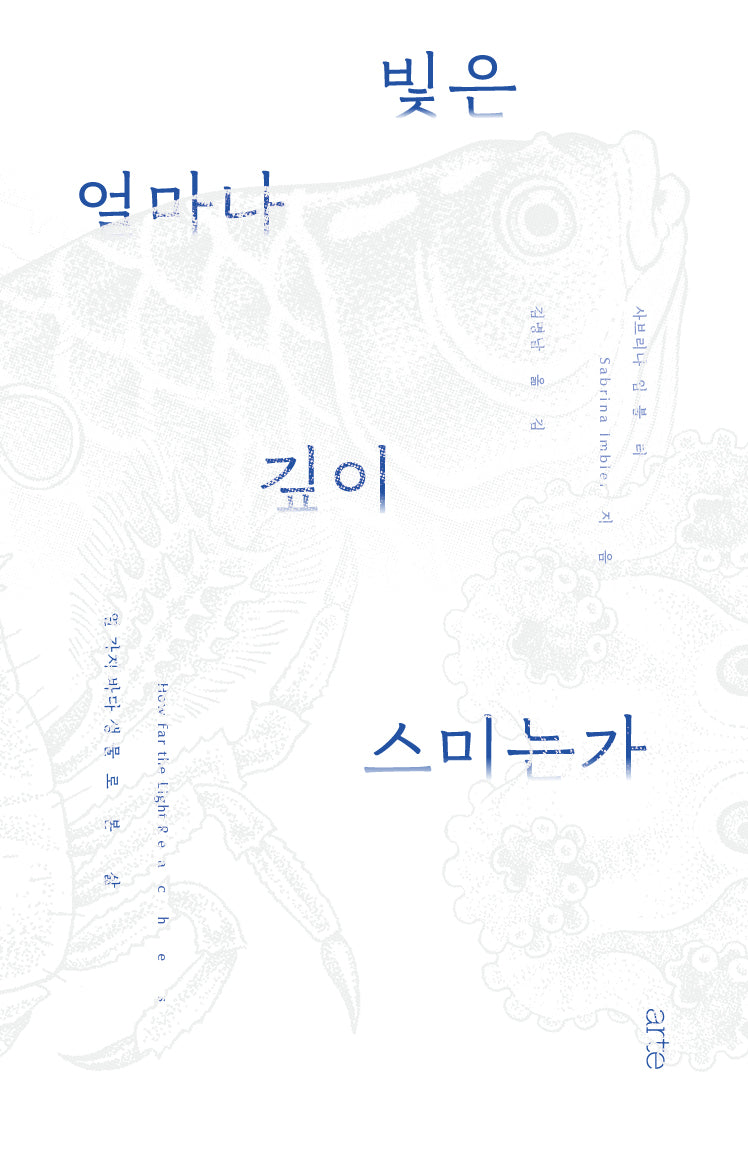 빛은 얼마나 깊이 스미는가