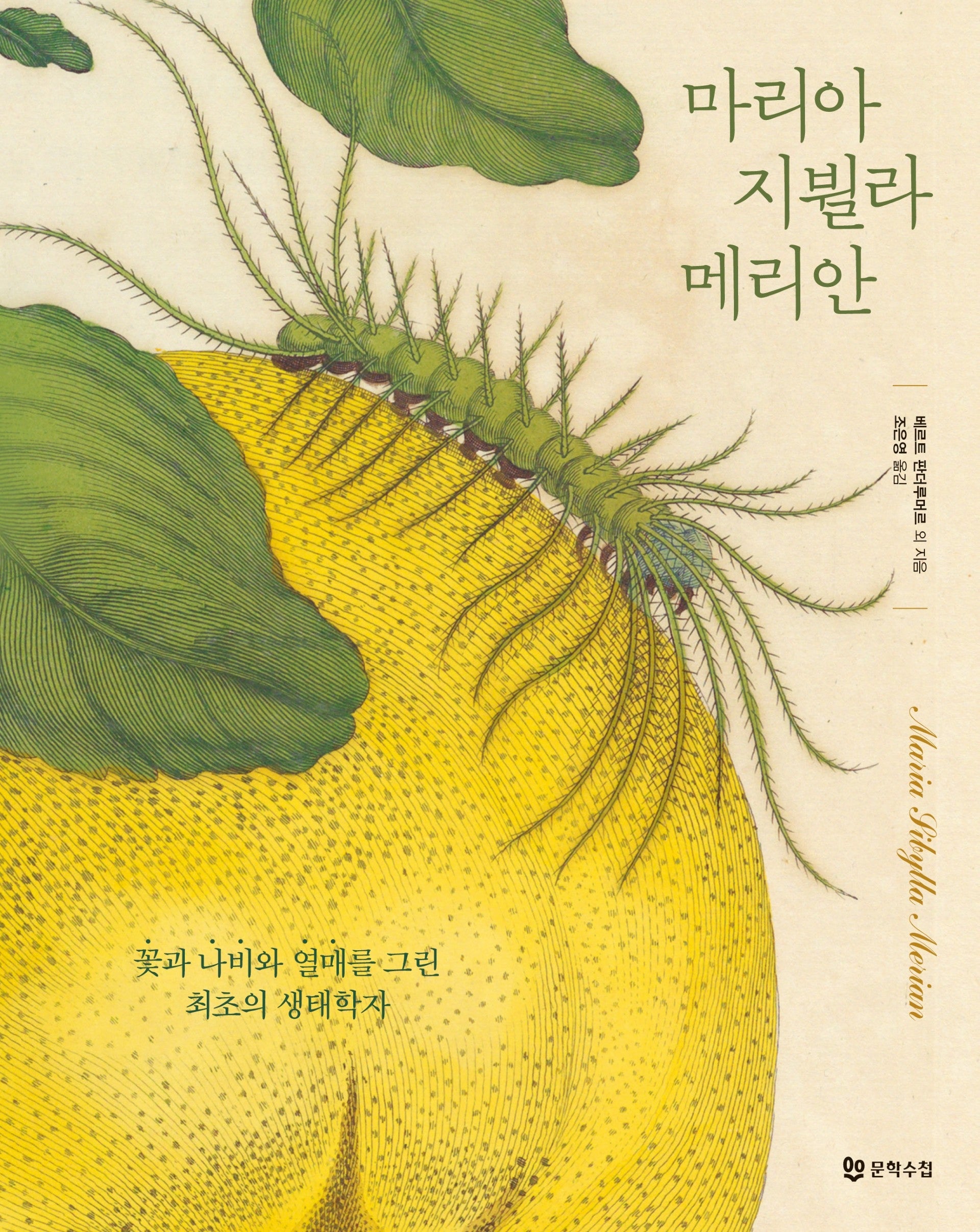 마리아 지뷜라 메리안