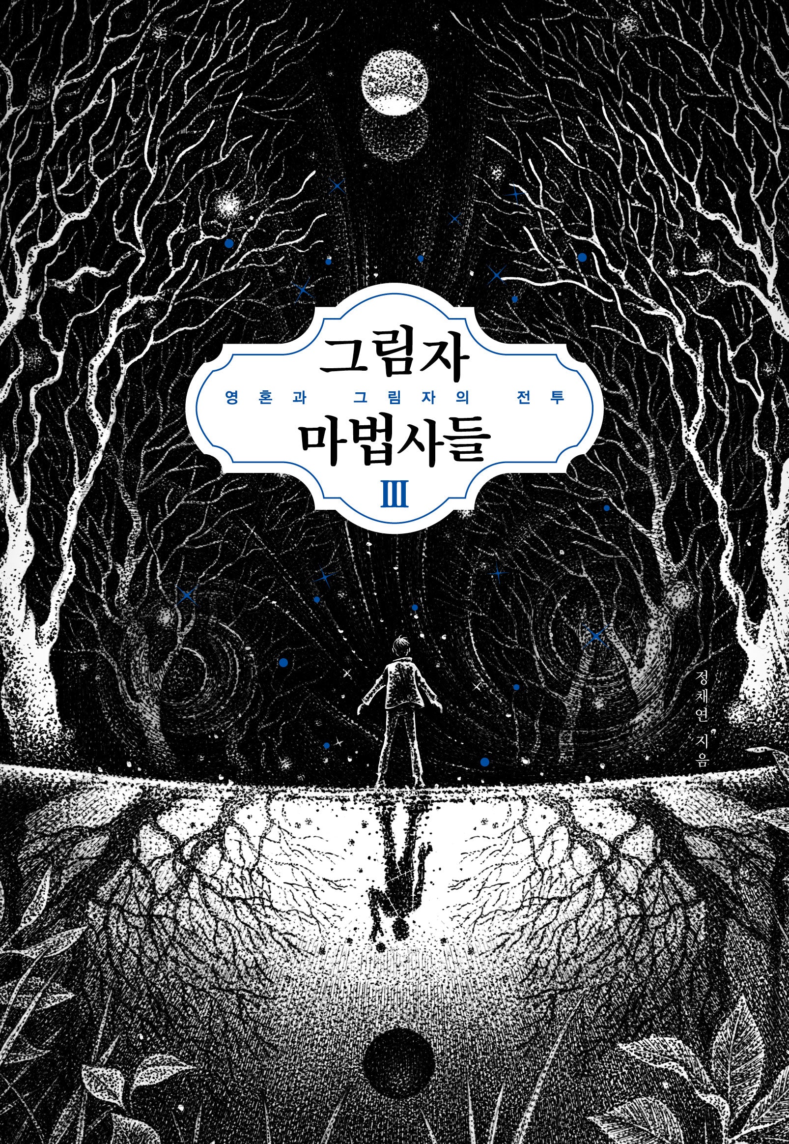 그림자 마법사들 3: 영혼과 그림자의 전투