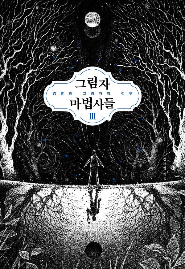 그림자 마법사들 3: 영혼과 그림자의 전투