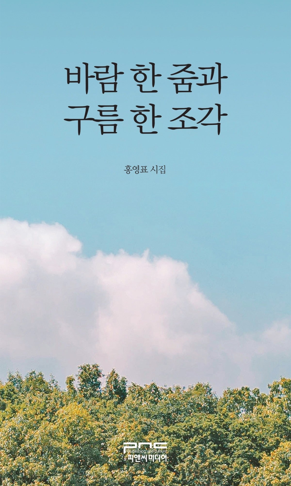 바람 한 줌과 구름 한 조각(반양장)