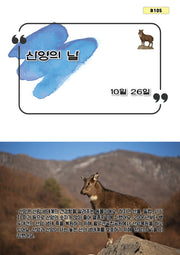 산양의 날(B 105)