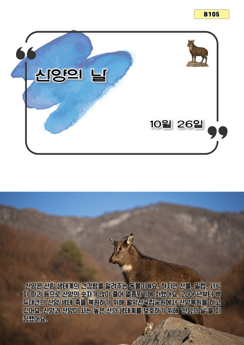 산양의 날(B 105)
