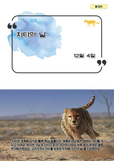 치타의 날(B 121)