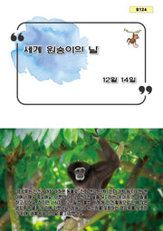 세계 원숭이의 날(B 124)