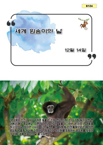 세계 원숭이의 날(B 124)