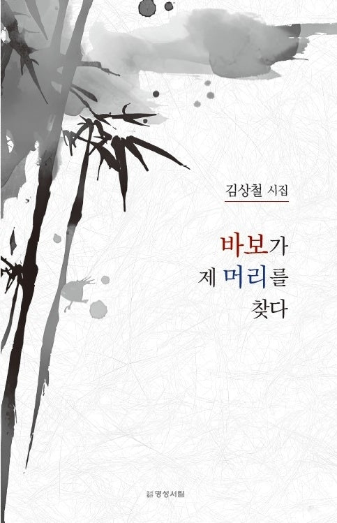 바보가 제 머리를 찾다