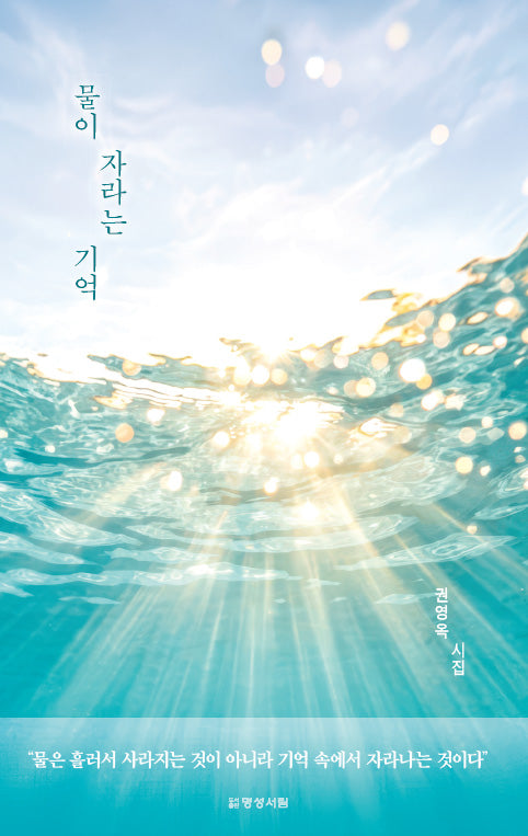 물이 자라는 기억