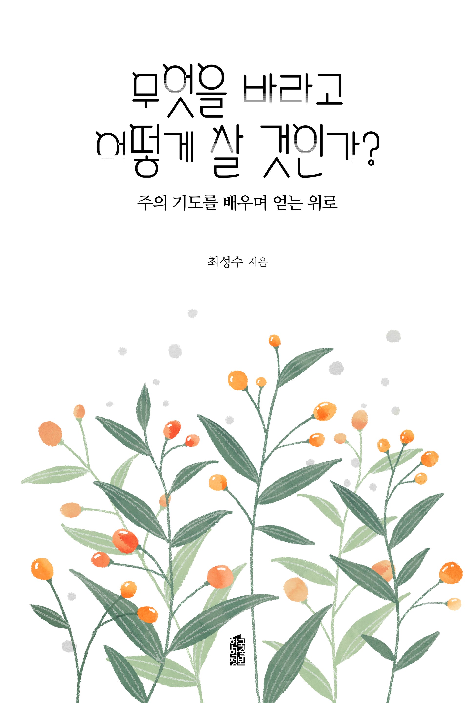 무엇을 바라고 어떻게 살 것인가(반양장)(반양장)
