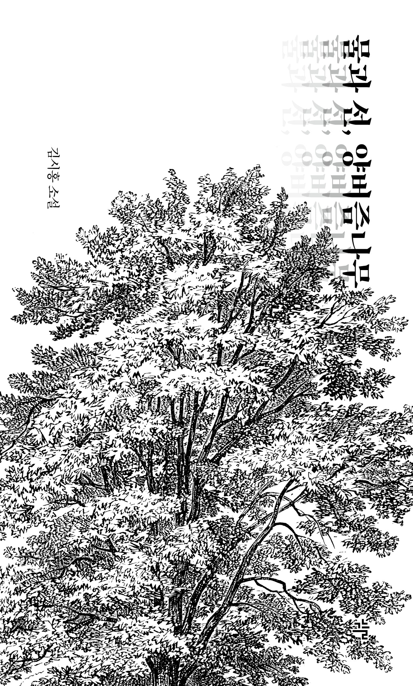 물과 선, 양버즘나무(그늘 중편선 3)(양장본 Hardcover)