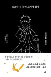 중요한 건 눈에 보이지 않아(큰글자책)