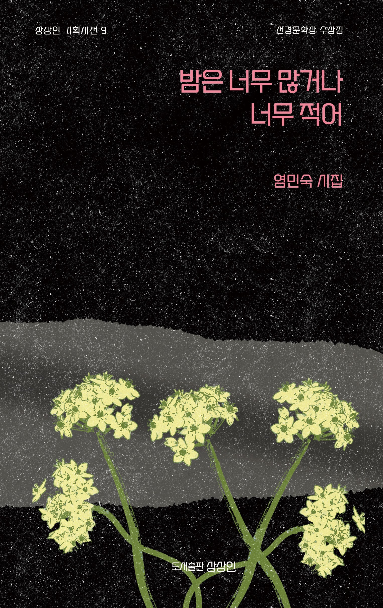밤은 너무 많거나 너무 적어(상상인 기획시선 9)