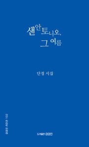 샌안토니오, 그 여름(상상인 시인선 102)