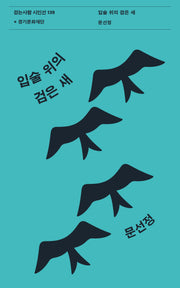 입술 위의 검은 새(걷는사람 시인선 139)