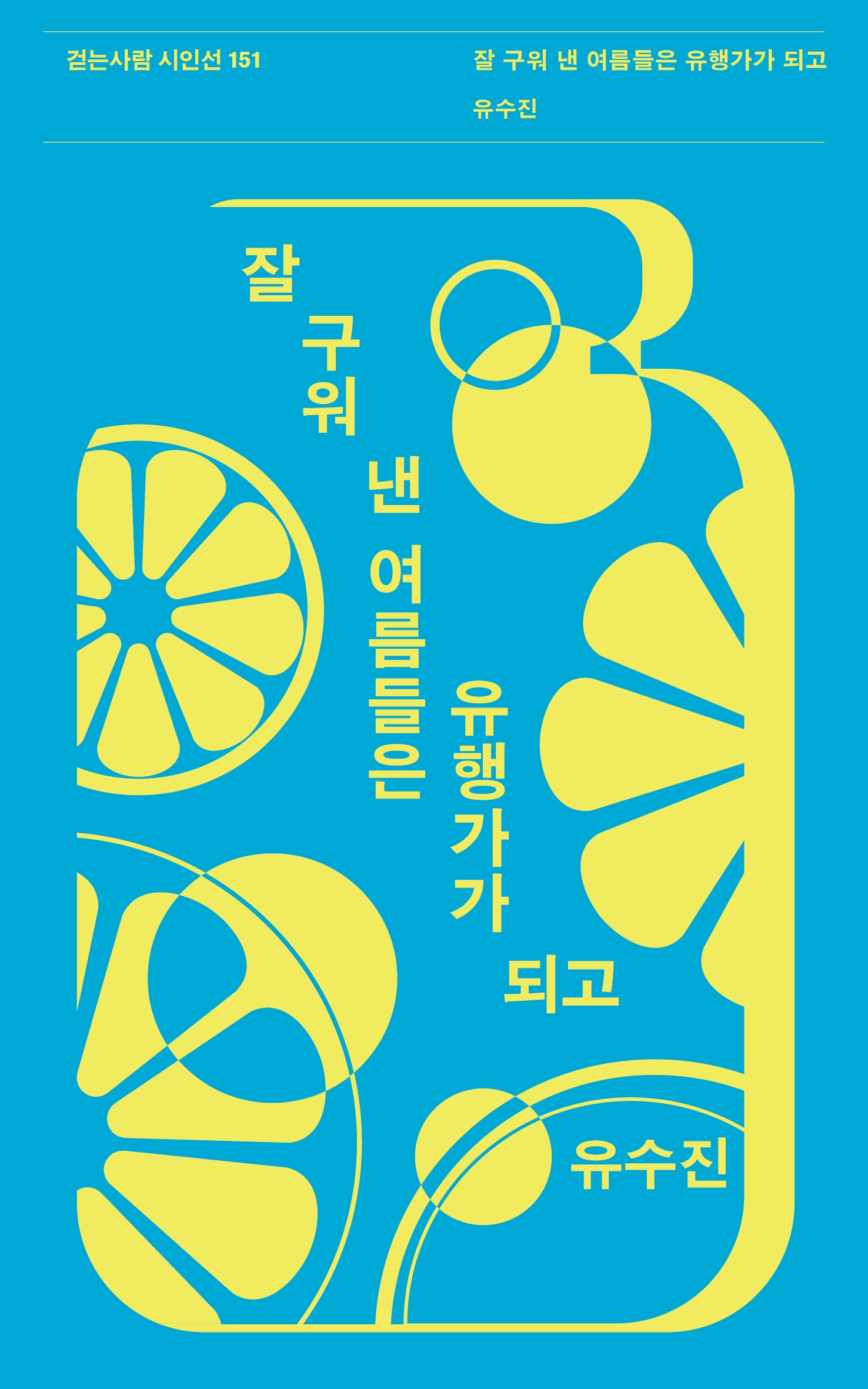 잘 구워 낸 여름들은 유행가가 되고(걷는사람 시인선 151)