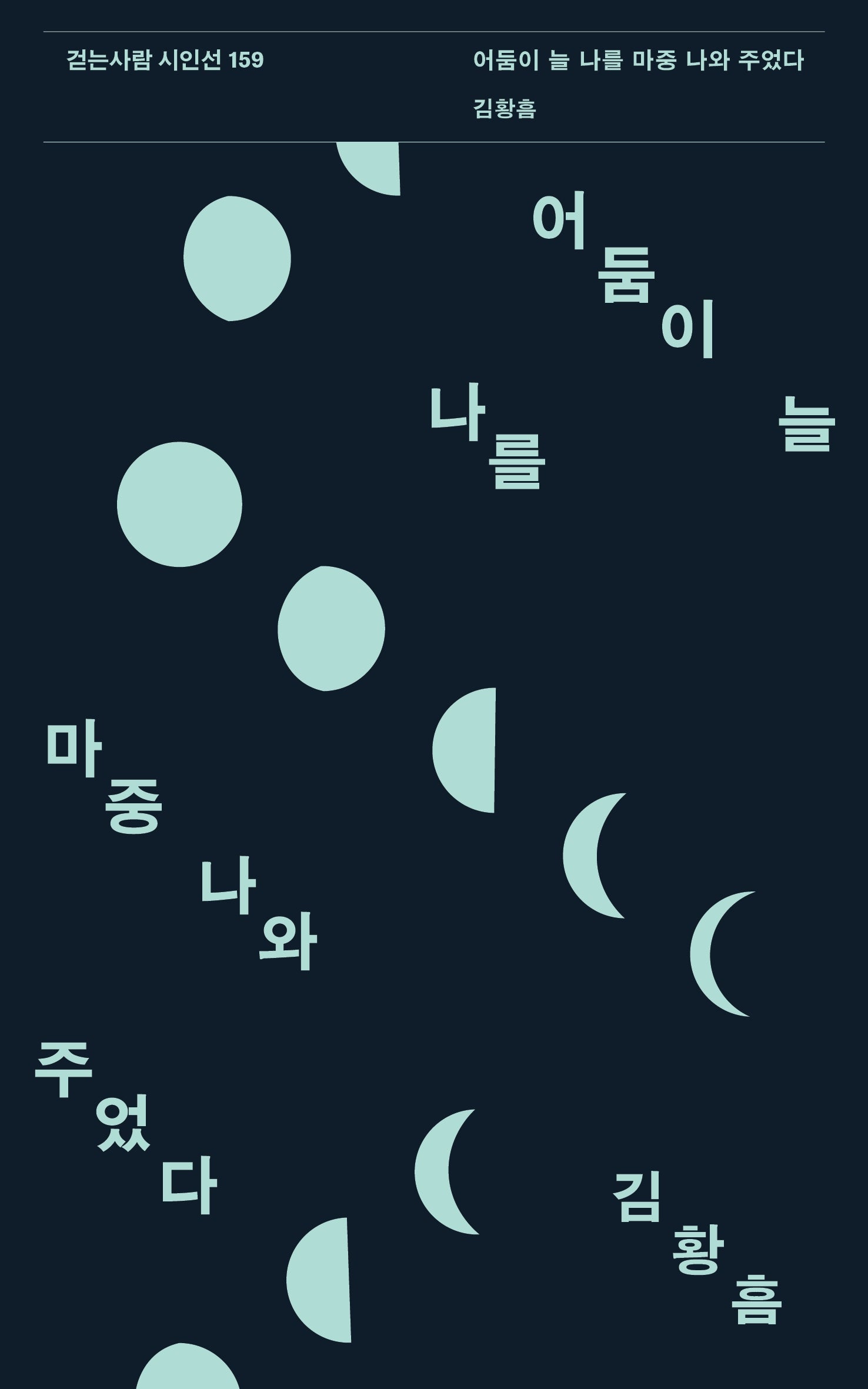 어둠이 늘 나를 마중 나와 주었다(걷는사람 시인선 159)