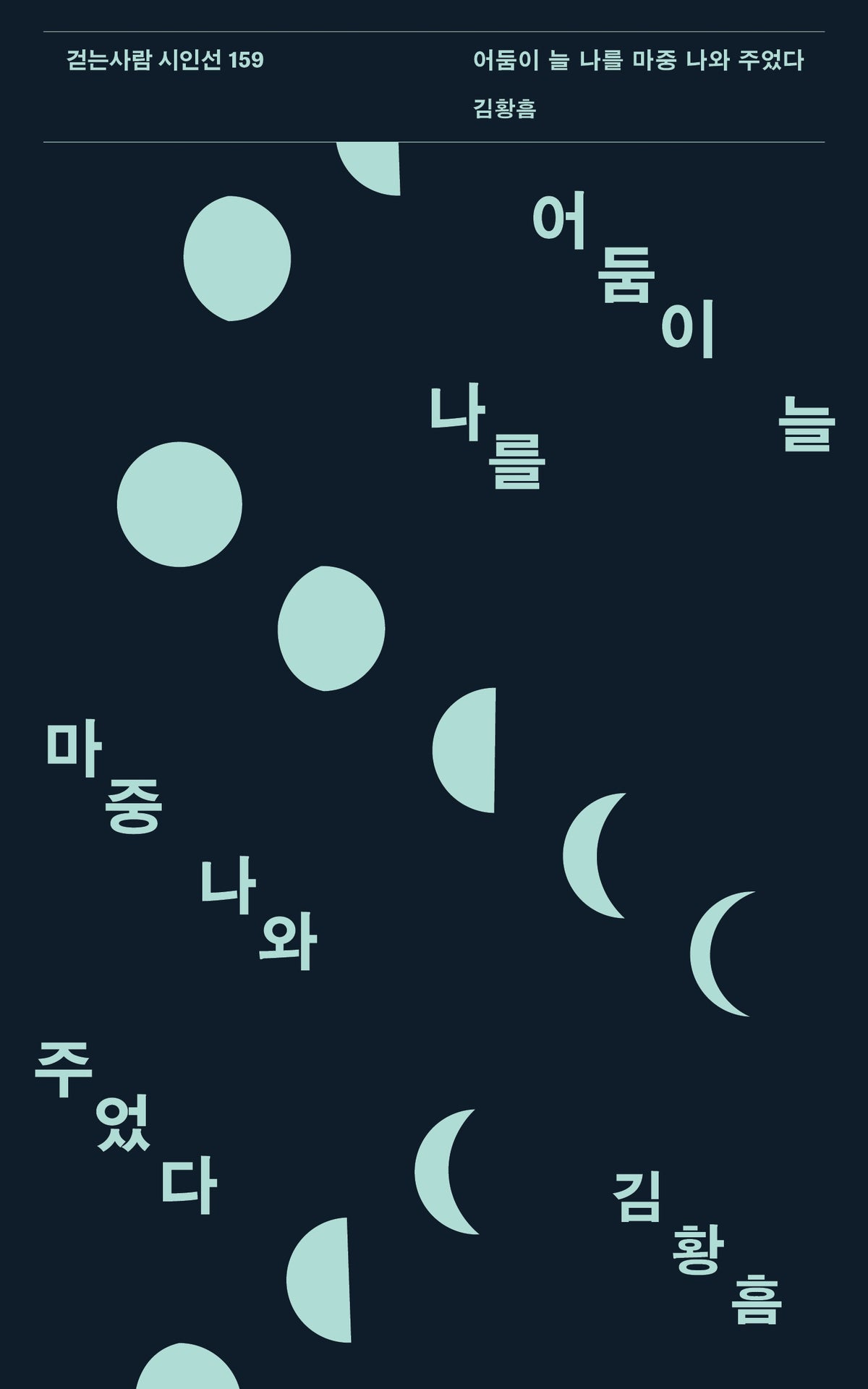 어둠이 늘 나를 마중 나와 주었다(걷는사람 시인선 159)