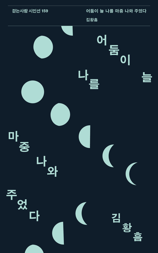 어둠이 늘 나를 마중 나와 주었다(걷는사람 시인선 159)