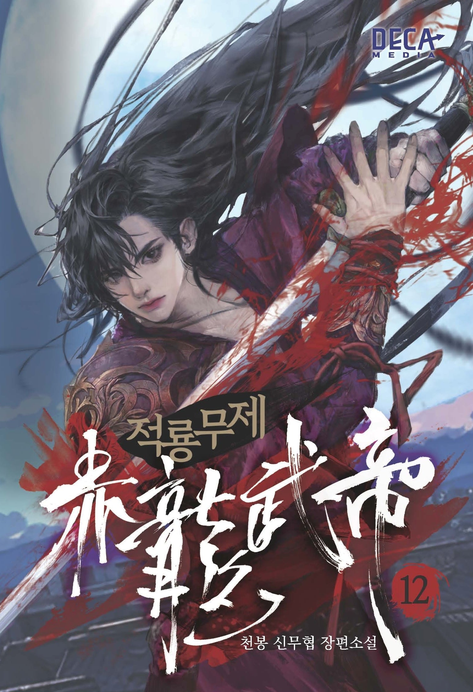 적룡무제 12