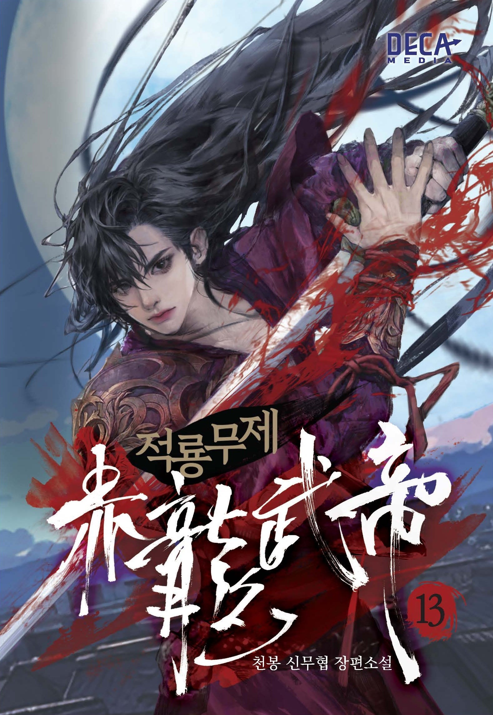 적룡무제 13