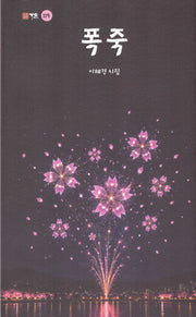 폭죽(정책연구시리즈 2024-11)