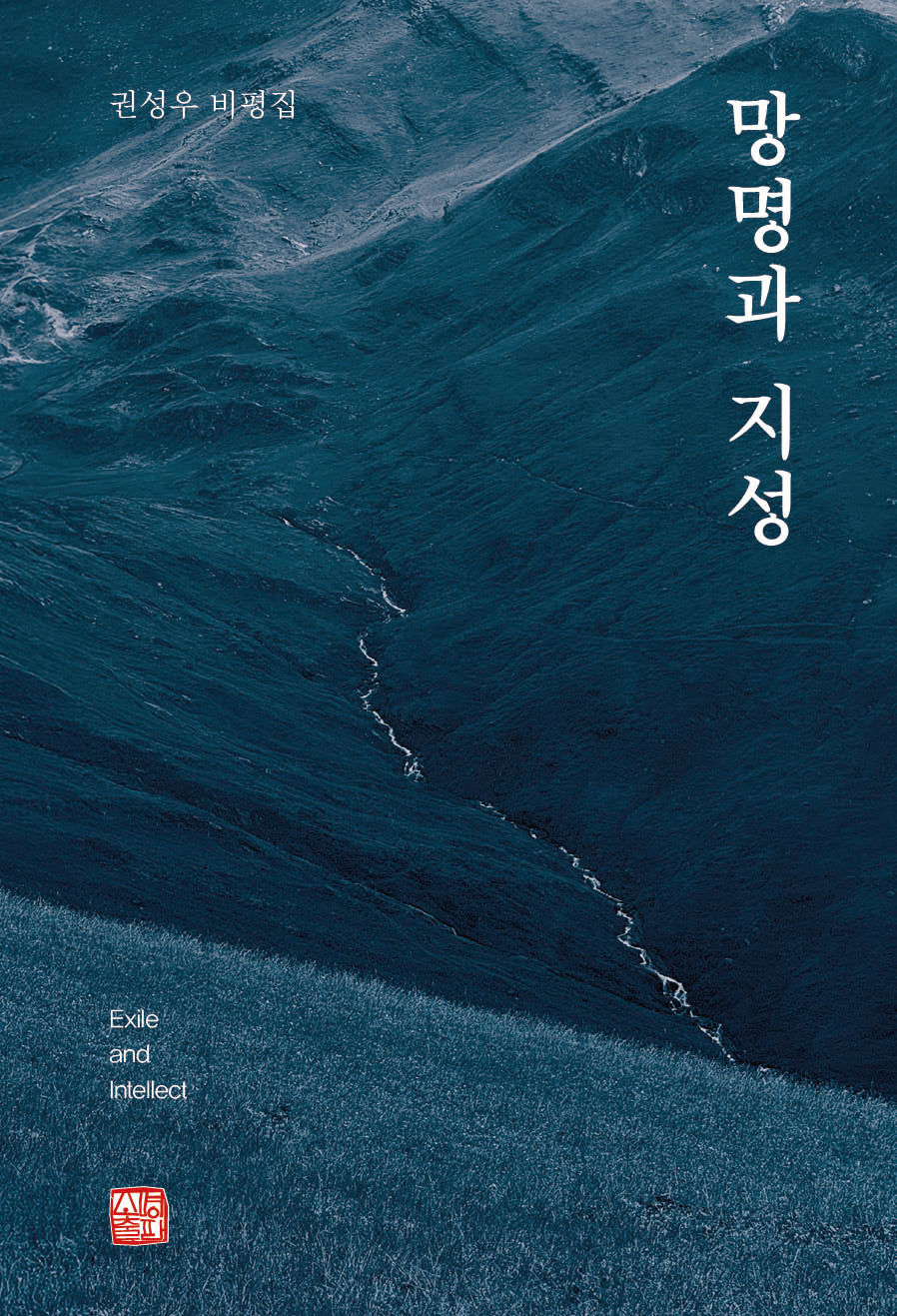 망명과 지성