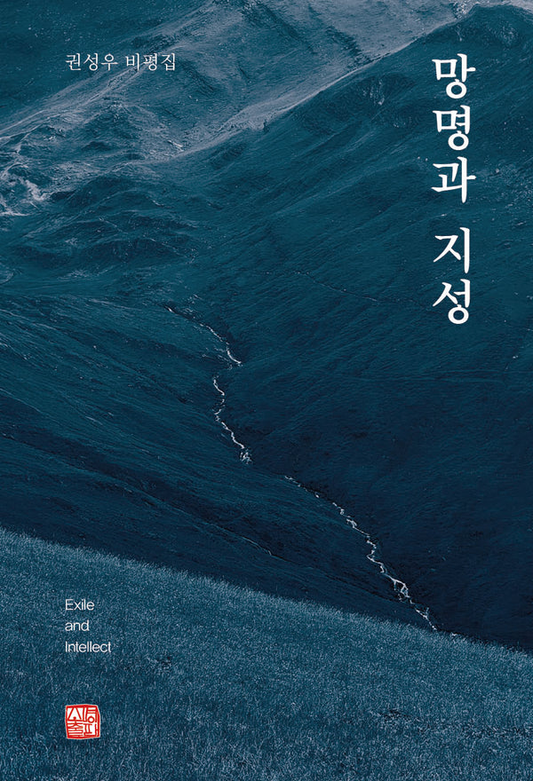망명과 지성