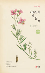 이화동의 바늘꽃 두 번째 이야기