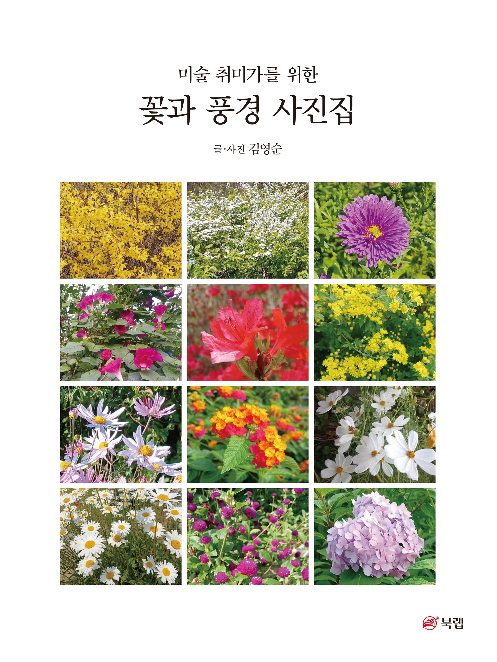 꽃과 풍경 사진집(미술 취미가를 위한)