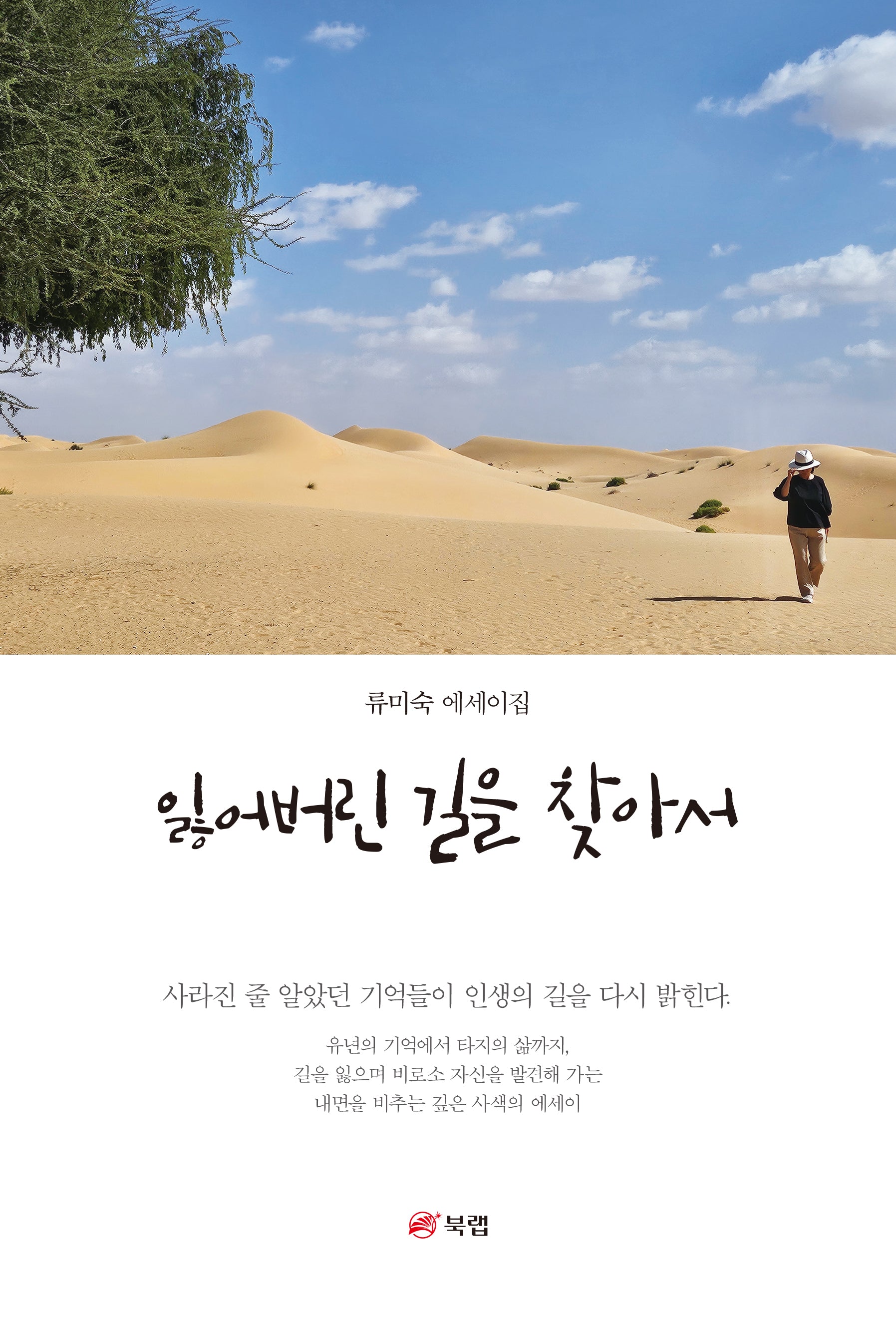 잃어버린 길을 찾아서(개정판)