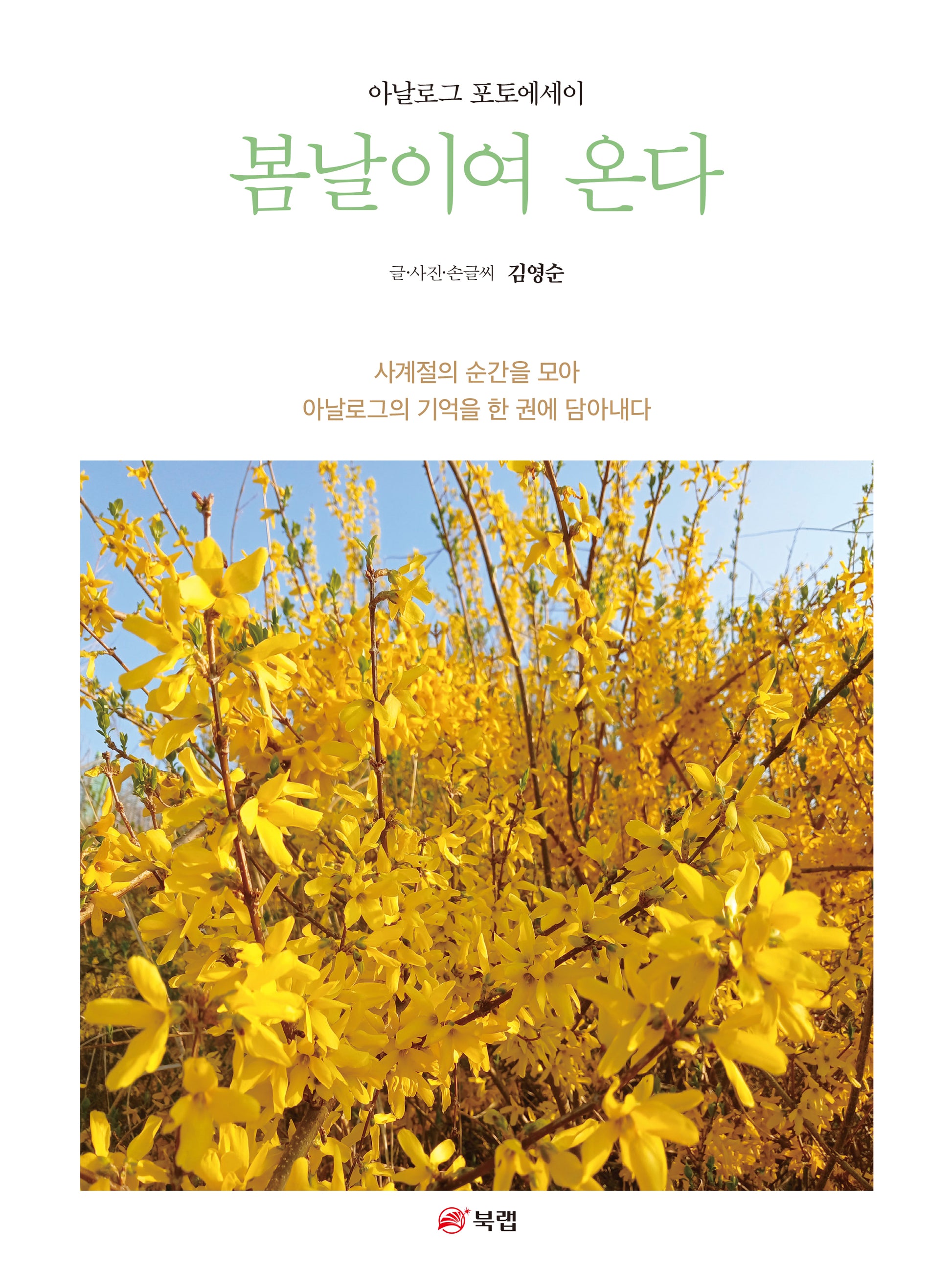 봄날이여 온다