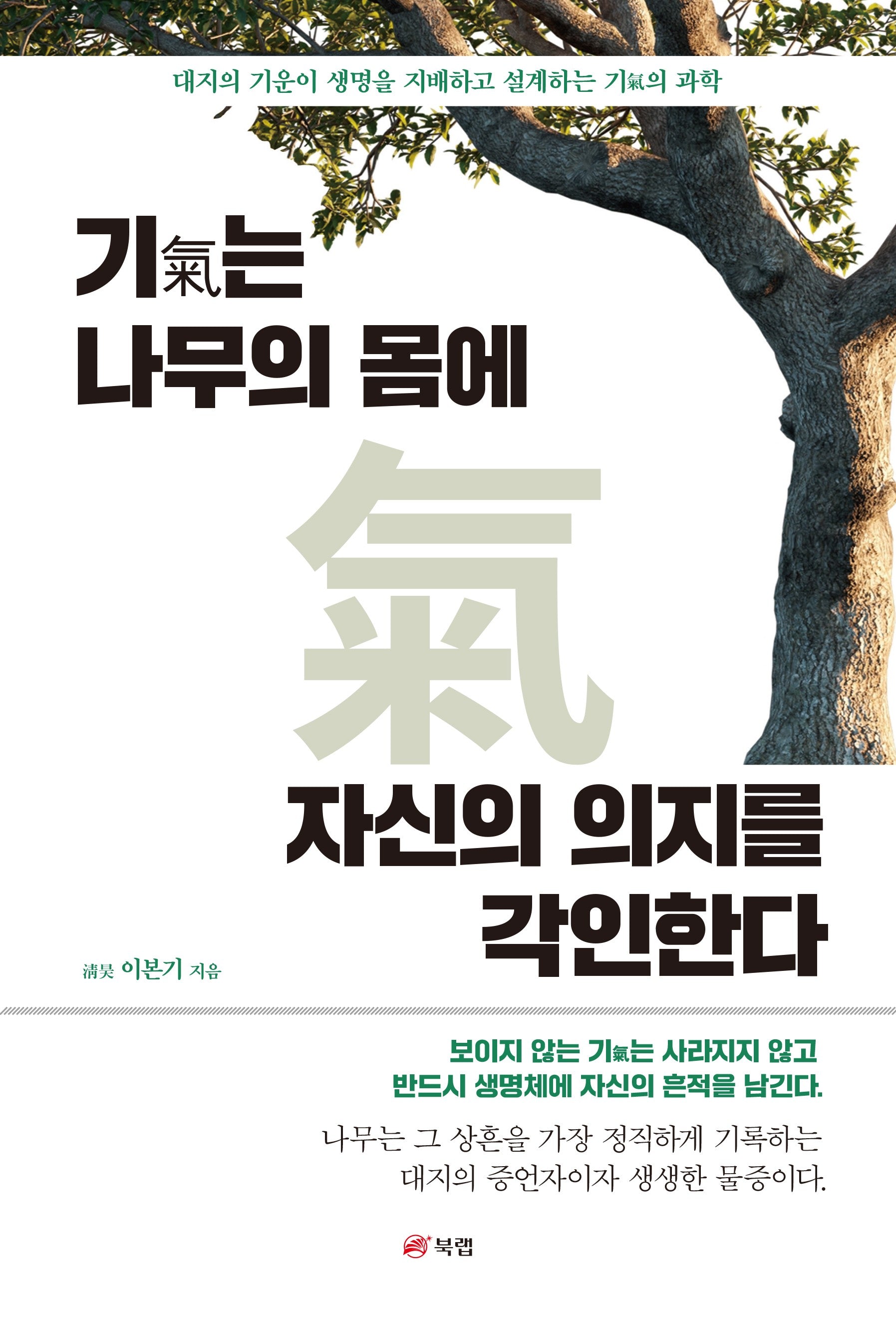 기는 나무의 몸에 자신의 의지를 각인한다