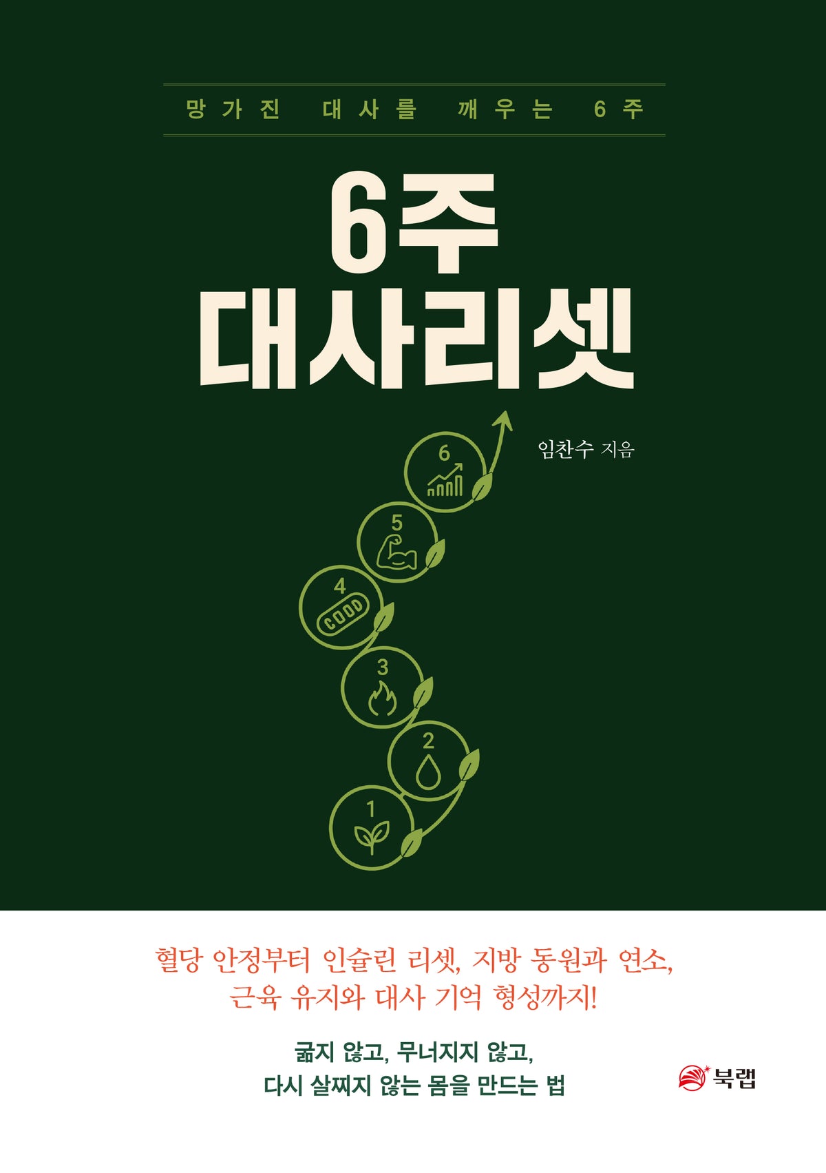 6주 대사리셋