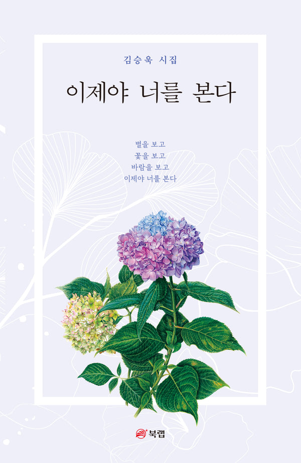 이제야 너를 본다