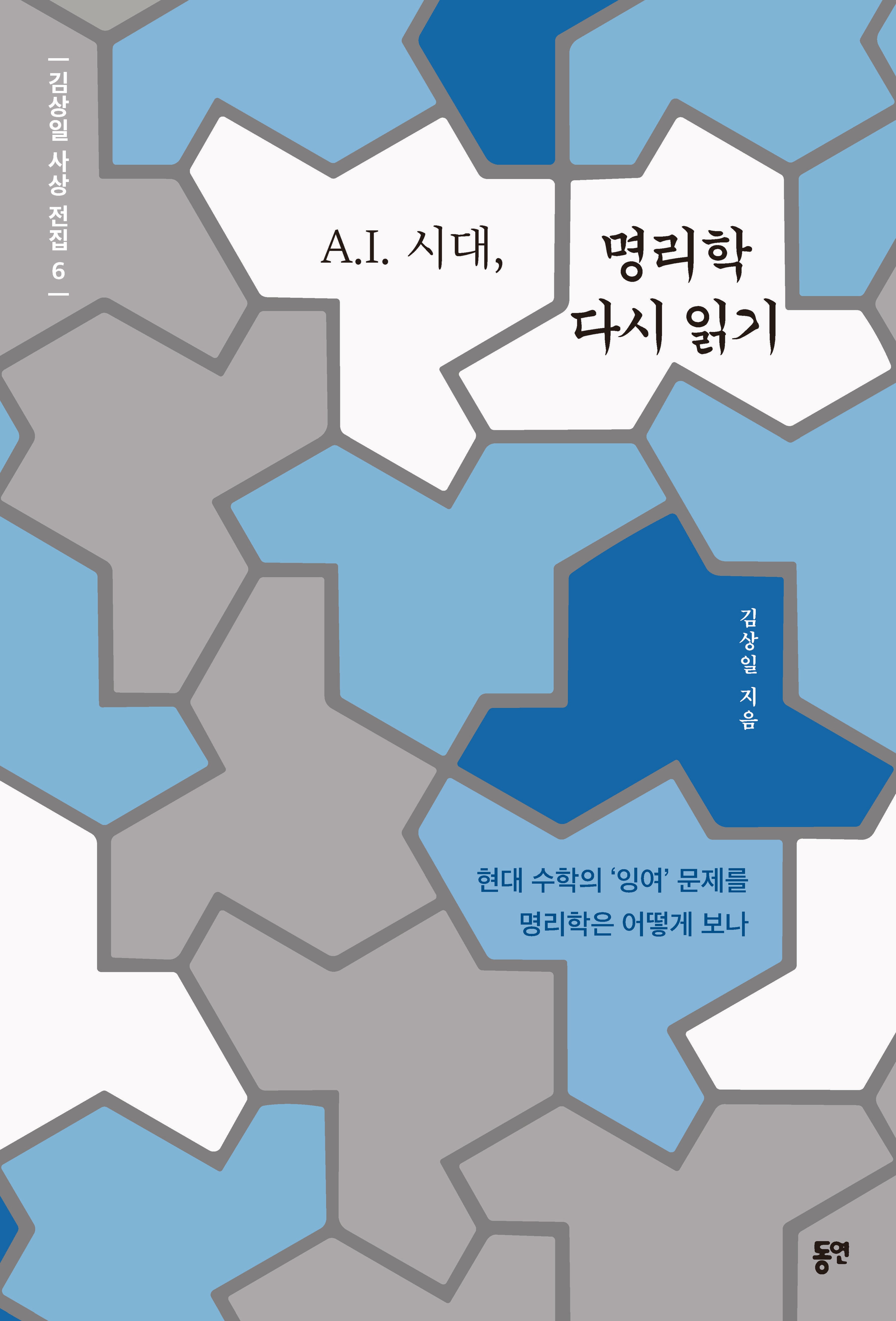 A.I. 시대, 명리학 다시 읽기(김상일 사상 전집 6)