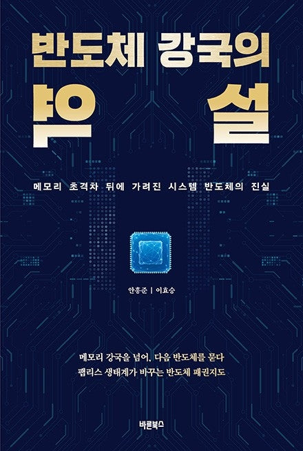 반도체 강국의 역설