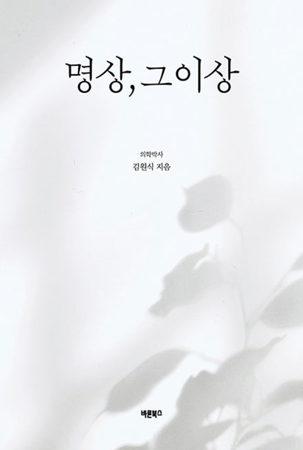 명상, 그 이상