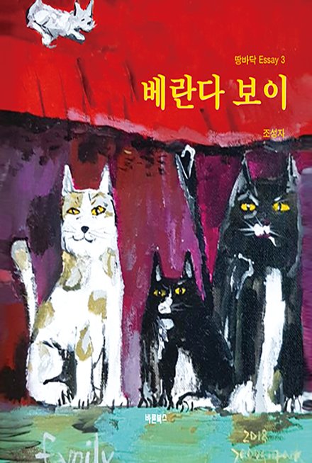베란다 보이(개정판)