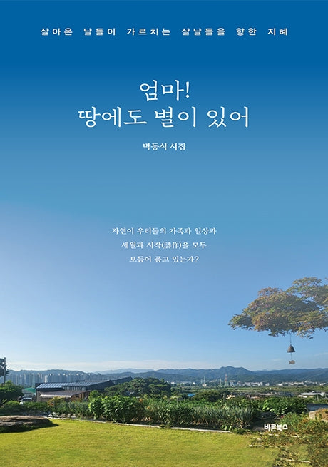 엄마! 땅에도 별이 있어