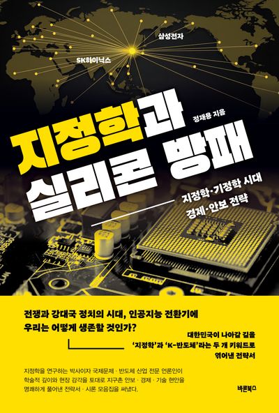 지정학과 실리콘 방패