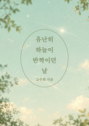 유난히 하늘이 반짝이던 날