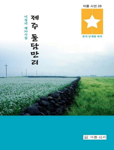 제주 돌담만리(이룸시선 28)