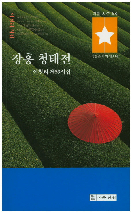 장흥 청태전(이룸시선 58)