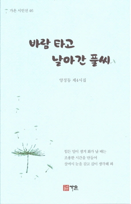 바람 타고 날아간 풀씨(가온 시인선 46)