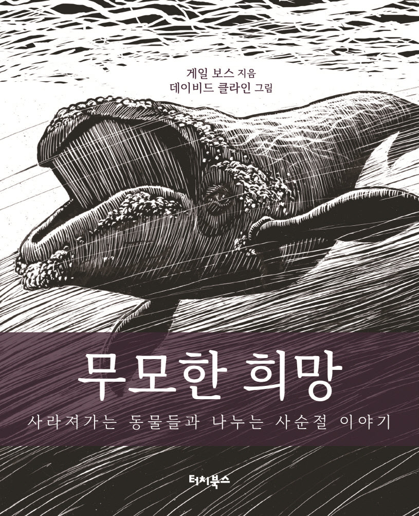 무모한 희망