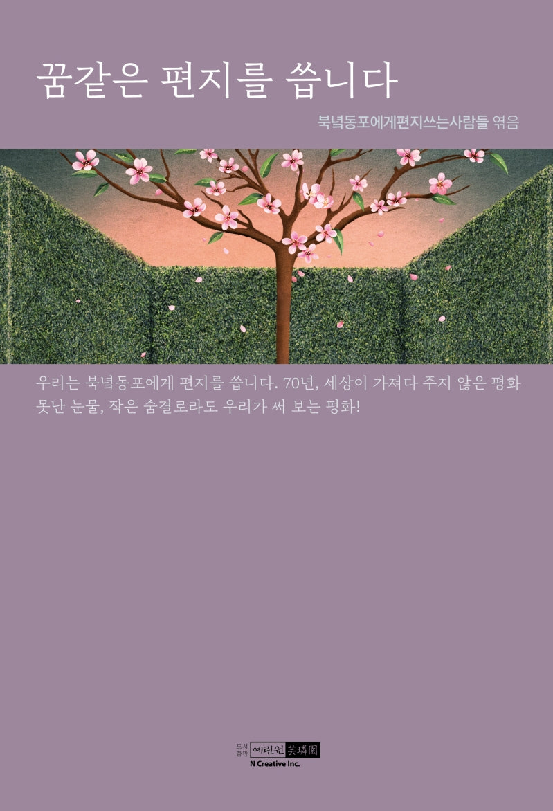 꿈같은 편지를 씁니다