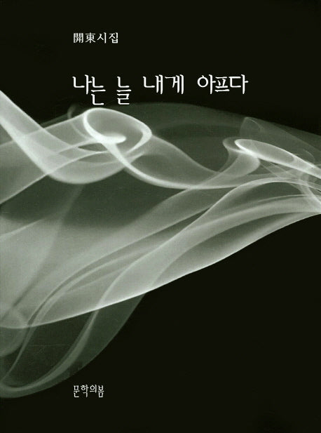나는 늘 내게 아프다