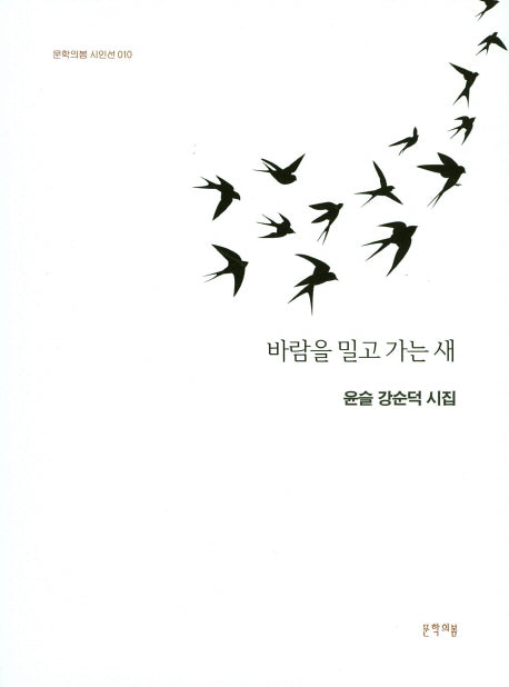 바람을 밀고 가는 새(문학의봄 시인선 10)