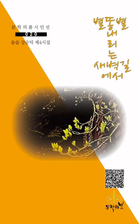 별똥별 내리는 새벽길에서(문학의봄 시인선 20)